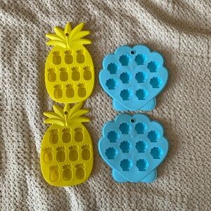 Summer Pineapple and Shell Molds